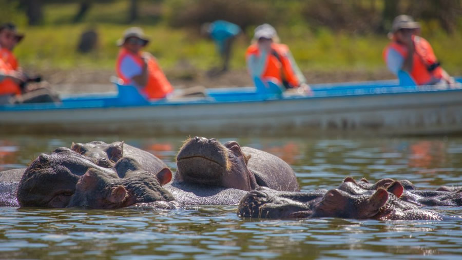 Lake Naivasha Boat Ride