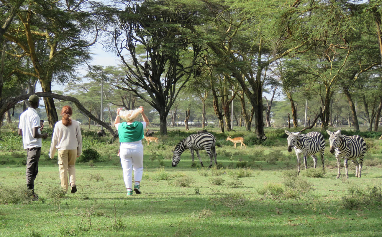 Hiking Safaris