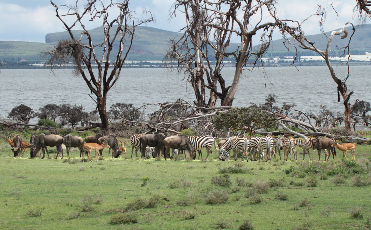 Hidden Gems of Great Rift Valley