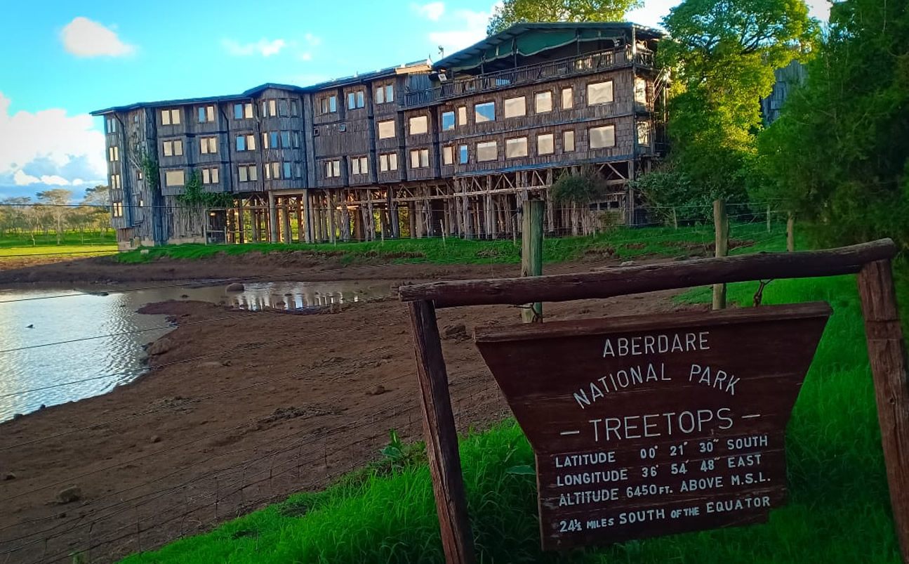 2 Day | Tree Hotel Experience